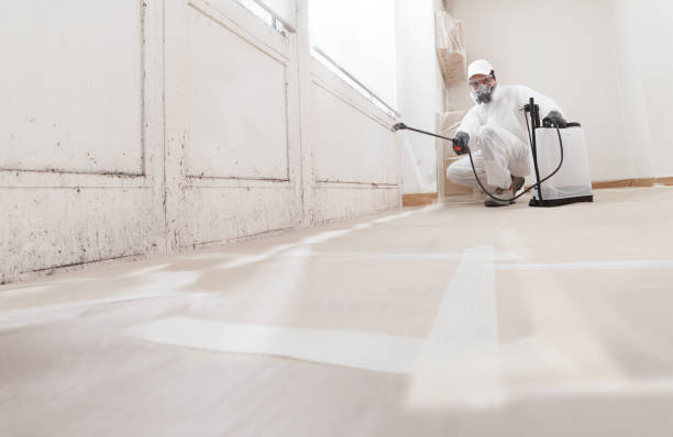 24/7 Emergency Mold Remediation experts in Lebanon, IL